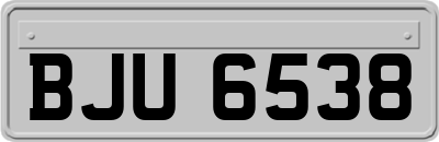 BJU6538