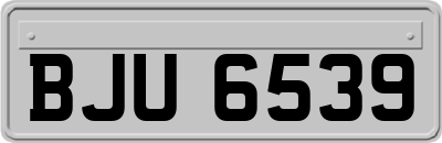 BJU6539