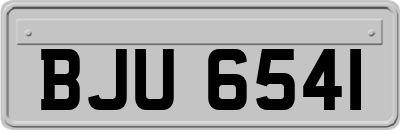 BJU6541