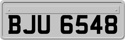 BJU6548