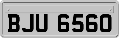 BJU6560