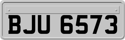 BJU6573