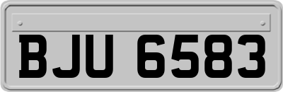BJU6583