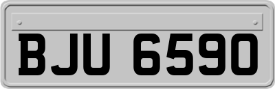 BJU6590