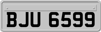 BJU6599