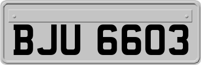 BJU6603