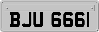 BJU6661