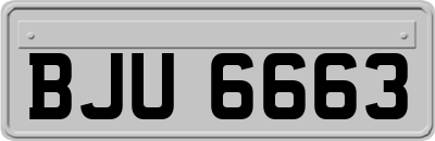 BJU6663