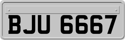 BJU6667