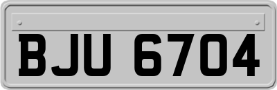 BJU6704