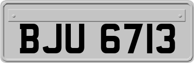 BJU6713