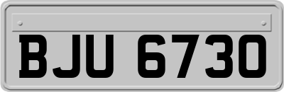 BJU6730