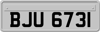 BJU6731