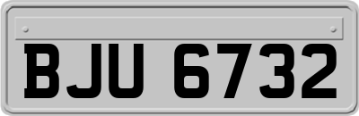 BJU6732