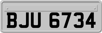 BJU6734