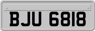 BJU6818