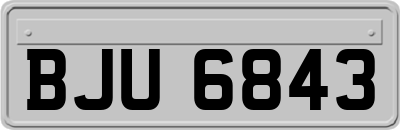 BJU6843