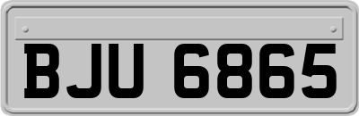 BJU6865