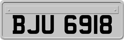 BJU6918