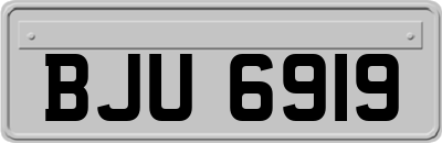 BJU6919