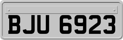 BJU6923