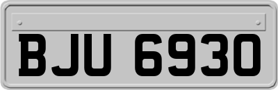 BJU6930