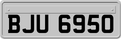 BJU6950