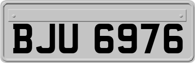 BJU6976