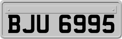 BJU6995