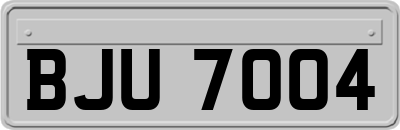 BJU7004
