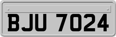 BJU7024