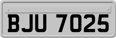 BJU7025