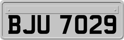 BJU7029