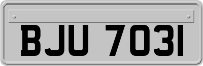 BJU7031