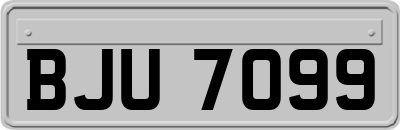 BJU7099