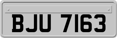 BJU7163