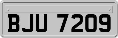 BJU7209