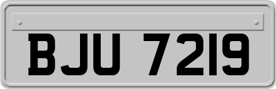 BJU7219
