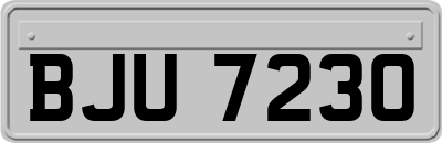 BJU7230