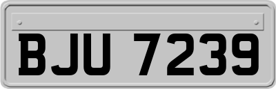 BJU7239