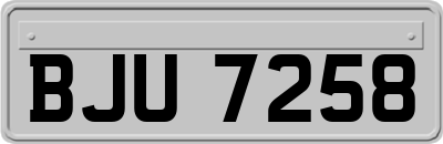 BJU7258