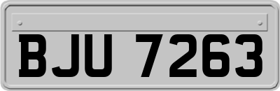 BJU7263
