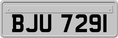 BJU7291