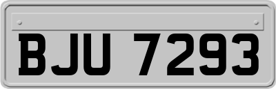 BJU7293