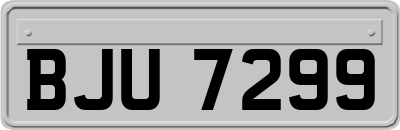 BJU7299