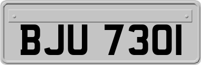 BJU7301