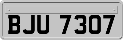 BJU7307