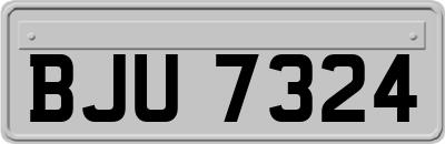 BJU7324