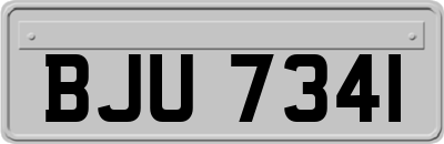 BJU7341