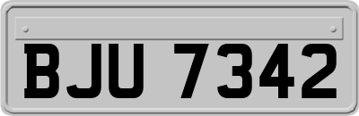 BJU7342